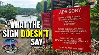 Arkansas Officials Banned the Only Algae Solution? The Real Reason Behind Lake DeSoto's Crisis