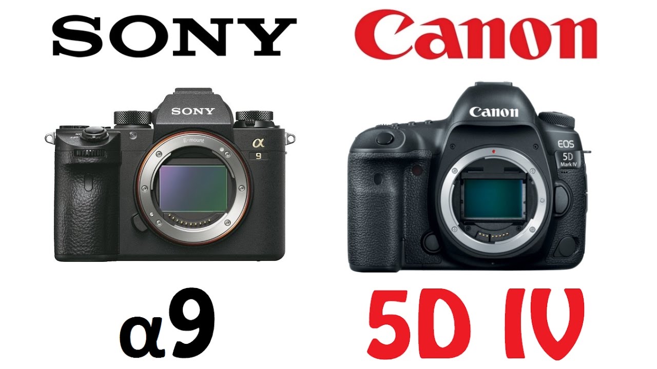 Sony A9 vs Canon EOS 5D Mark IV - YouTube