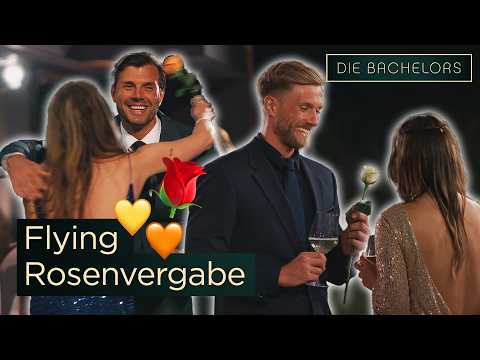 Chaos bei der ersten ROSENVERGABE?! 🌹😱 Dieses neue System verändert ALLES | Die Bachelors 2026 🌹