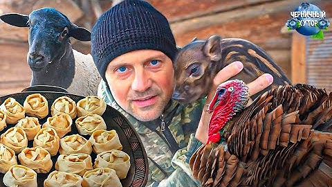 Старая свинья решила поджечь сарай вместе с поросятами. На усадьбе в лесу появились дикие поросята.