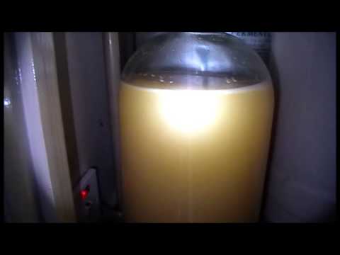 Home brewing .. Full strength Scrumpy Cider