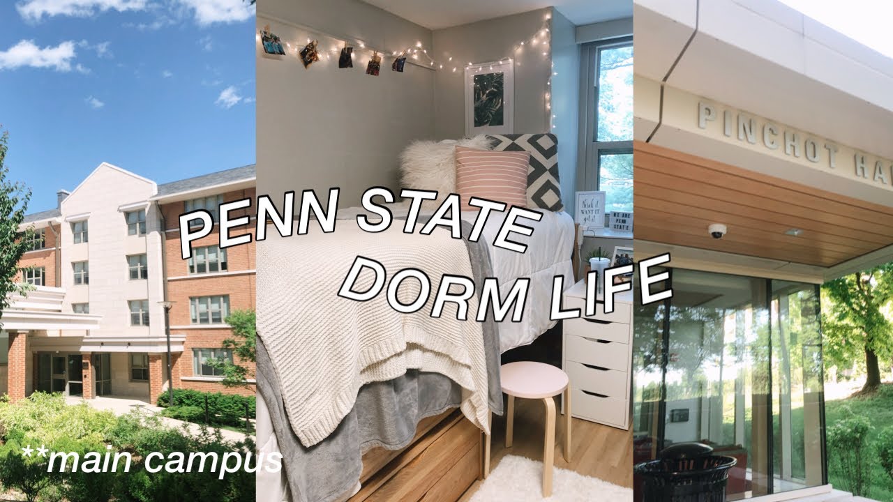 All About Penn State Dorms Youtube