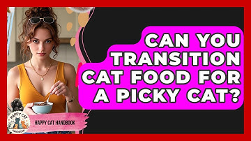 Can You Transition Cat Food For A Picky Cat? - Happy Cat Handbook