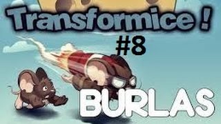 Transformice - Burlas racing #8