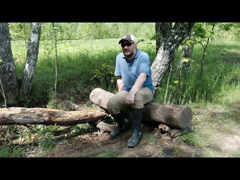 Цветочки бородатого ботаника... Или что кроме рыб и мух должен знать нахлыстовик!,?