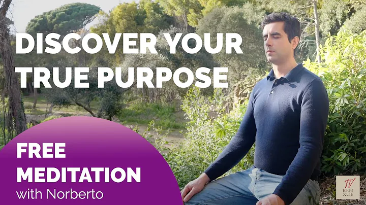 Discover your true purpose. Meditation by Norberto...