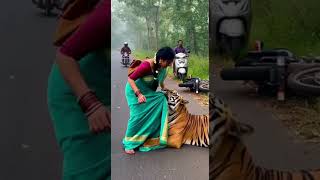 on-Camera🐯Tiger Attacks During Morning Jog on Jungle Road #tiger #animals #animalattack