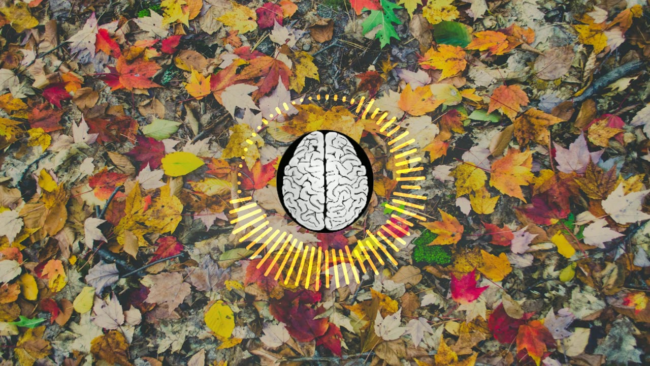 Renteria beats - Autumn - Hip Hop Boombap 90s OldSchool Beat Lo-fi type ...