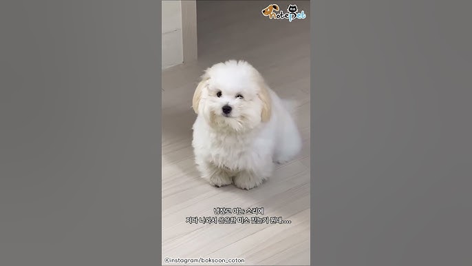 절망하지 마십시오. 개인회생 및 파산신청 지원