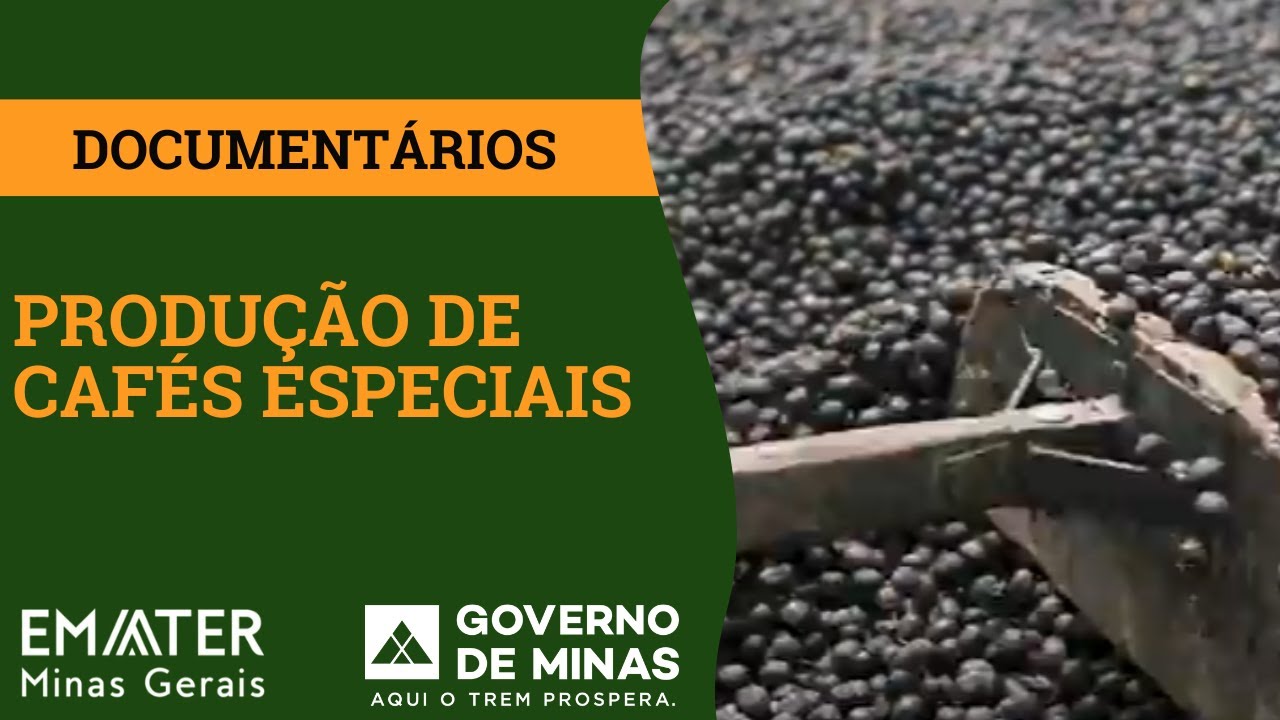 Produção de Cafés Especiais