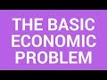Navigating Wants and Needs in Economic Decision-Making