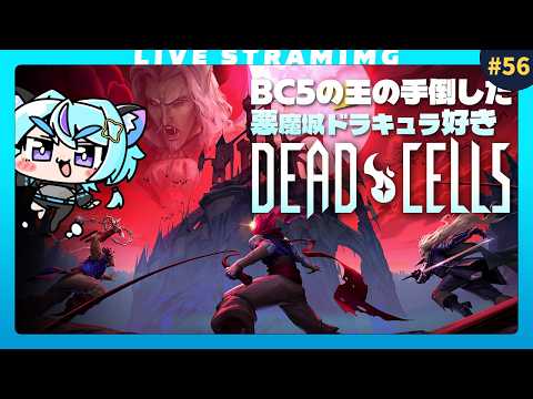 【Dead Cells】ボスセル5攻略中！DCクリアする前に悪魔城が発売しちゃうよ～😭｜56日目の配信サムネイル