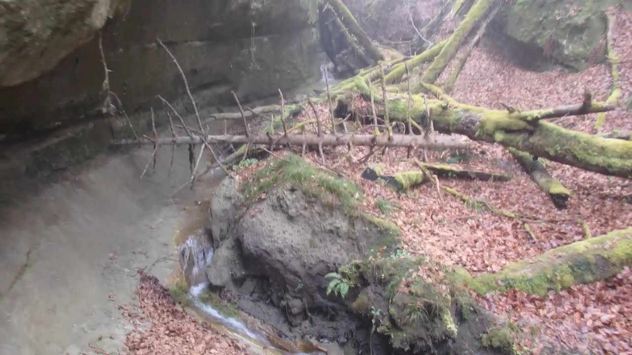 Eine der vielen kleinen Schluchten am Nordufer des Bodanrücks - One of the many gorges along the way