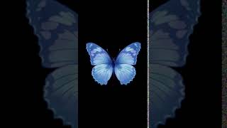 Sequence 02 11