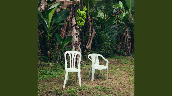 NUEVAYoL