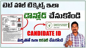 AP TET- 2024 Hall tickets Download Process in Telugu|| TET Candidate ID finding Process in Telugu