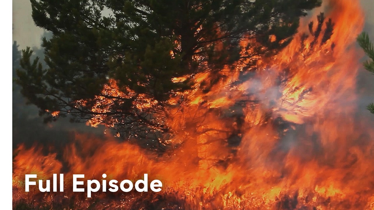 The Physics of Wildfire Weather Explained (2025)