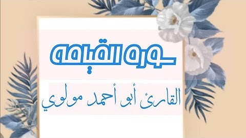 سورة القيامة - القارئ أبو أحمد مولوي