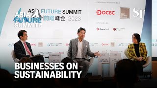 What should businesses do to combat climate change? | Asia Future Summit 2023