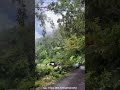 Green Hills, Blue Mountains, Jamaica