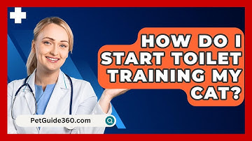 How Do I Start Toilet Training My Cat? - PetGuide360.com