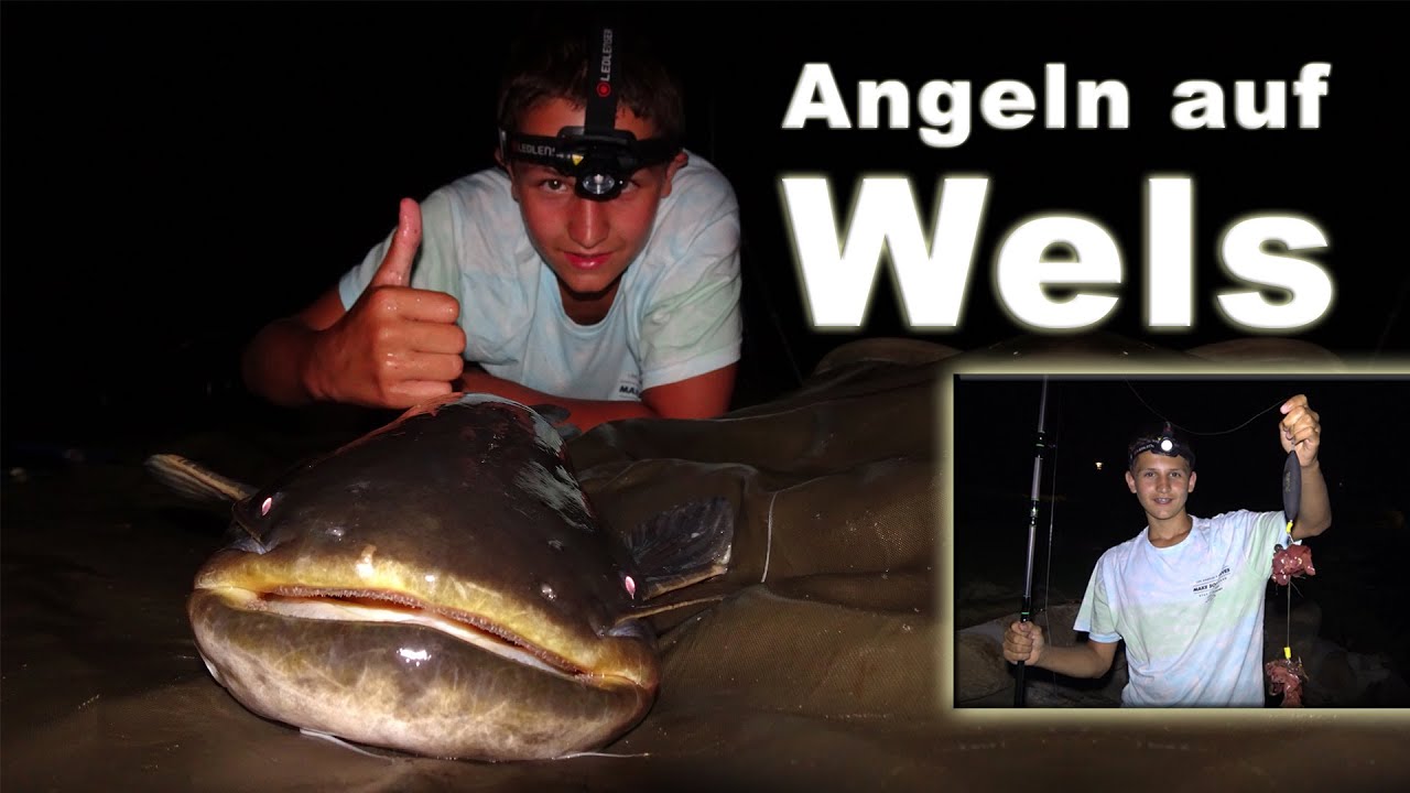 Wels Angelmontage Set - 3x Komplett Rigs Für Süß- Und Salzwasser