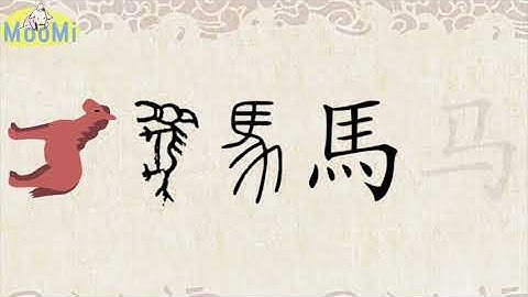 Chinese Character Evolution and Strokes汉字演变+笔画 | 马ma / horse