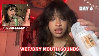ASMR Wet/Dry Mouth Sounds ft. @JulesAsmr8 Mouth and Hand Sounds Collab