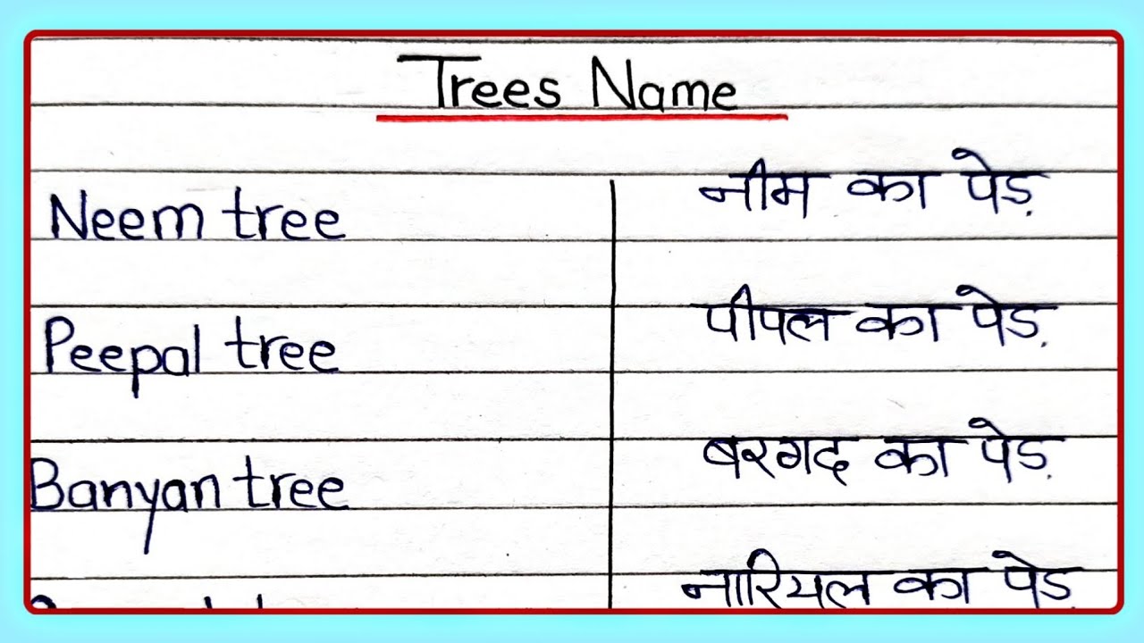 10 Trees Name In English And Hindi Trees Name Trees Name In English 10-trees-name-in-english-and-hindi-trees-name-trees-name-in-english