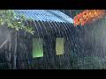 Nonstop Rain Sounds 🌧️ Peaceful Rain for Stress Relief &amp; Relaxation