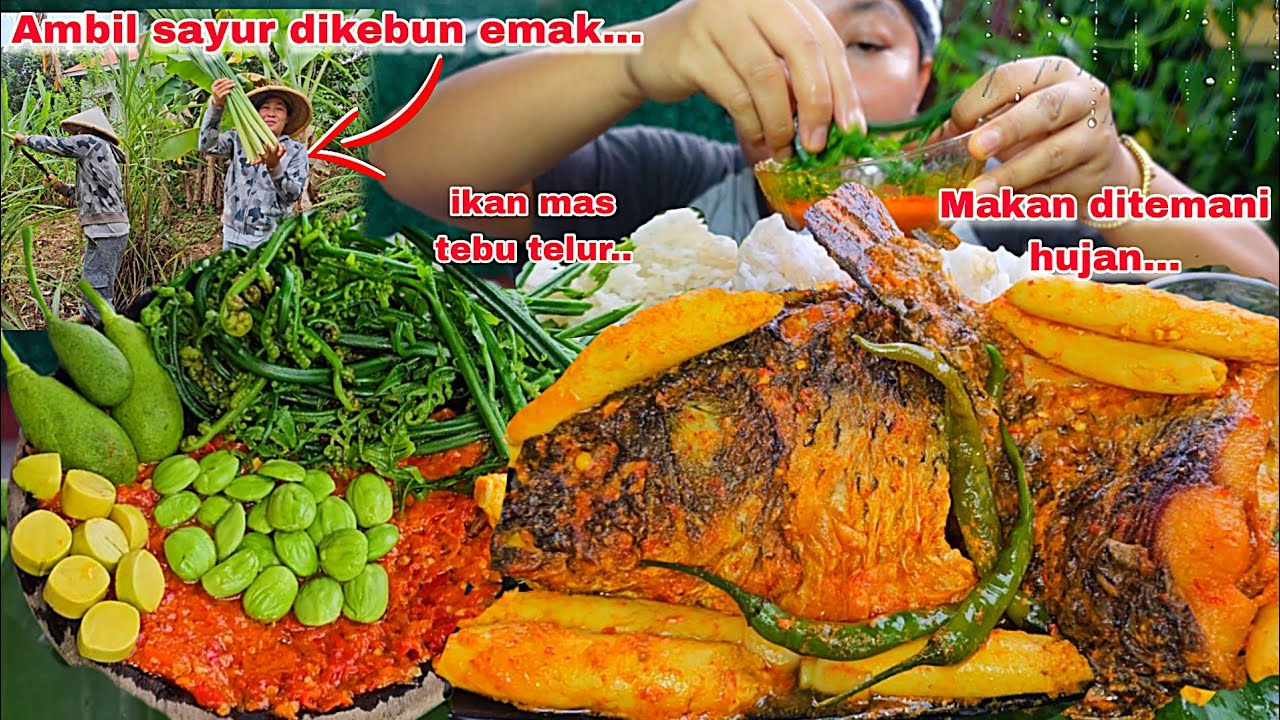 AMBIL SAYURAN DIKEBUN MAK.MASAK DAN MAKAN