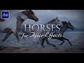 Horses for After Effects