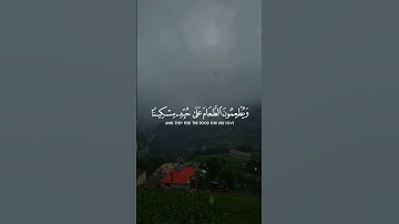 القارئ: ماهر المعيقلي، سورة الإنسان (٥-١٢).