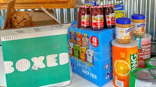 Boxed Wholesale Food Unboxing Buy In Bulk Online