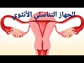 الجهاز التناسلي الأنثوي وتكوين البويضات للصف الثالث الثانوى