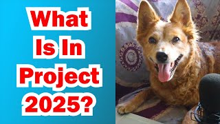What Is Project 2025? - Radical Reviewer