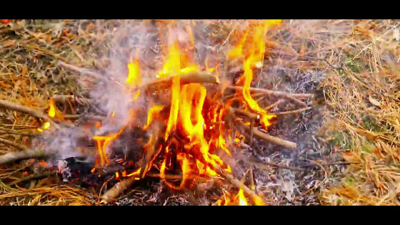 Tandoori Chieken | Jungle 