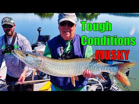 tough-musky-fishing-conditions!---june-2019-eagle-lake-musky-hunt