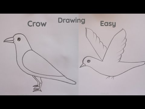 how to draw crow drawing easy step || crow drawing easy@DrawingTalent -  YouTube