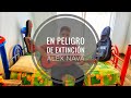 En Peligro De Extinción (Cover) - Alex Nava
