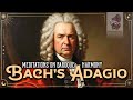 Bach S Adagio Meditations On Baroque Harmony The Best Masterpieces Bach S Adagio Meditations On Baroque Harmony The Best Masterpieces
