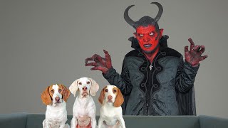 Can These Dogs Resist The Devil? Funny Dogs Maymo, Indie &amp; Potpie vs Devil Prank!