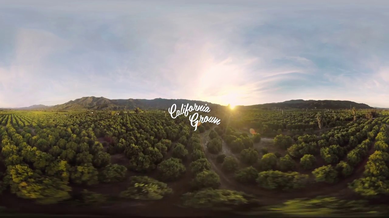 Sunkist California Grown 360 Video YouTube