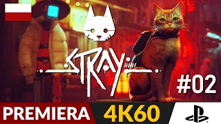 Stray PL 🐈 #2 - odc.2 🐱 Miasto robotów | Gameplay po polsku 4K