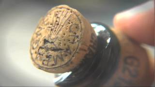 Macro Champagne