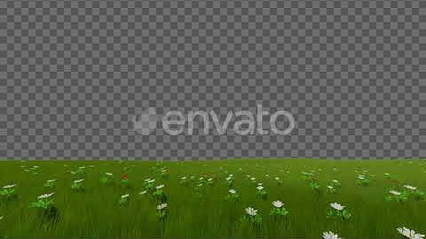 Grass And Flowers Field | Motion Graphics - Envato elements