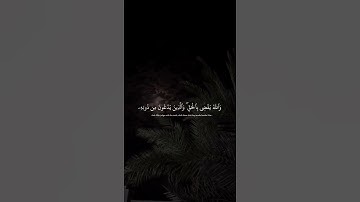 يَعلَمُ خائِنَةَ الأَعيُنِ وَما تُخفِي الصُّدورُ - ماهر المعيقلي تلاوة خاشعة
