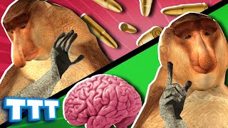Love brains, hate bullets, simple as! | Gmod TTT