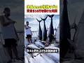 【驚き】体長4mの怪物マグロｗ 賞金10万ドルを懸けた「命懸けの死闘」が衝撃すぎるｗ　#釣り #釣りキチ #驚き #巨大魚 #マグロ #インド洋 #決定的瞬間 #賞金稼ぎ #shorts
