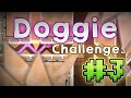 Doggie Challenges #3 yo